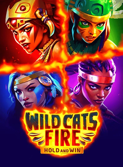 Dragon Tiger live game cover
